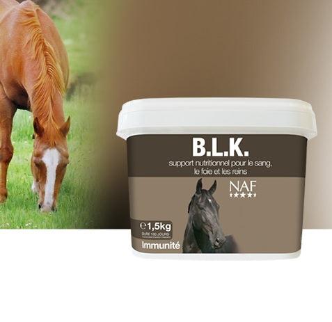 NAF B.L.K. - SHOPHORSE